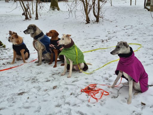 warm eingepackt kann man auch mal im Winter eine Sitzübung machen 