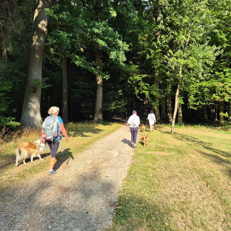 Hundeschule Birgit Klug